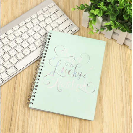 Customized PP Cover Office Diary Book A4 A5 Spiral Notebook Writing Journal 
