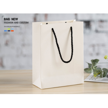 Hot Sale Paper Bag With Ribbon Hanlle Square For Shopping 
